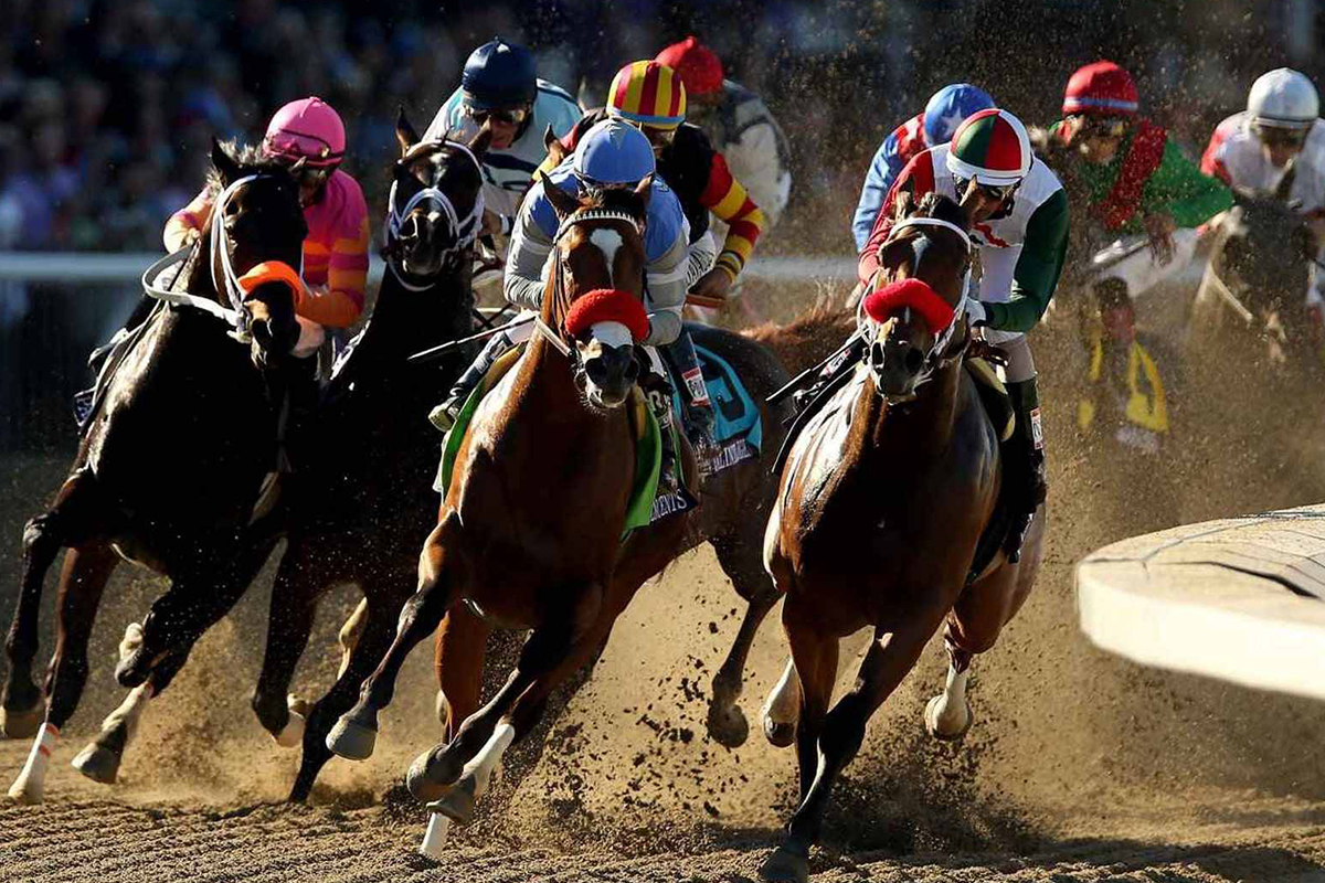 horses and jockeys racing